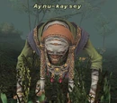 Aynu-kaysey
