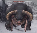 Bonnacon