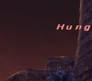 Hungerer