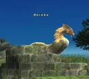 Boroka