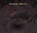 Copper Borer