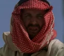 Bedouins