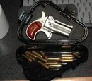 Bookie's Holdout Pistol