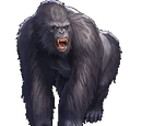 Silverback Gorilla