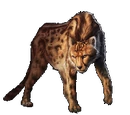 King Cheetah