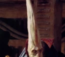 Graxol Kelvyyn