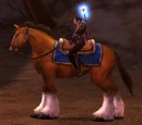 Brida de caballo marrón