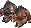 Forma de oso