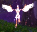 Furia Shelda