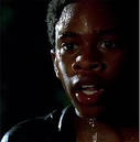 2X01 WaltJungle.jpg