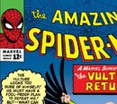 Amazing Spider-Man Vol 1 7