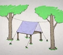 Lost University/Science 201: Jungle survival basics
