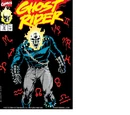 Ghost Rider Vol 3 10