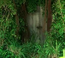 Portals