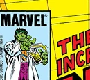Incredible Hulk Vol 1 293