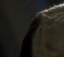 Dukat