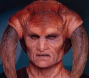 Saesee Tiin