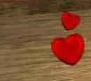Love (Pet)