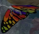 Fae drake whelp