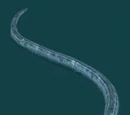 Serpiente de cristal