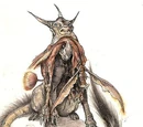 Anooba