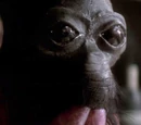 Ponda Baba