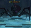 Faenelae