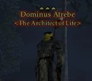 Dominus Atrebe