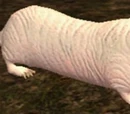 A Greater Tunneller