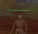 A fractured shardbone
