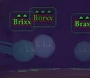 Borxx