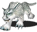 Snow leopard