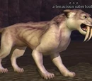 A tenacious sabertooth