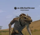 An Alliz Raef Ew seer
