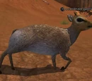 A sunstrider gazelle
