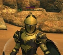 A Quellithulian sentry