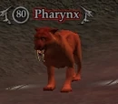 Pharynx