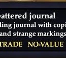 Ilucide's battered journal