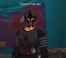 Guard Larcaic