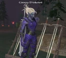 Ginwyss D'Arkenett