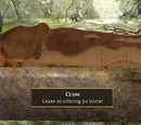 Crow's Resting Place, Thieves Guild