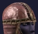 Reinforced Vultak Skullcap