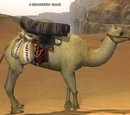 A dunestrider camel