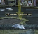 Shadowed Tome Of Ages Past