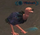 Vilebeak