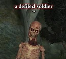 Defiled soldier (Zombie)