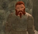 Knight-Captain Steelgaze