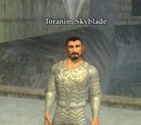 Toranim Skyblade