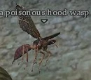 A poisonous hood wasp
