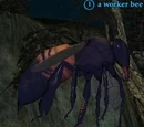 Worker bee